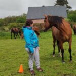 gestion des émotions, médiation équine, médiation animale, adultes gérer le stress et l'anxiété