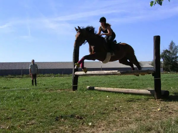 cheval équitation, cavalière, émotions, connexion