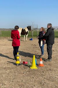 Développer la cohésion d'équipe, le vivre ensemble